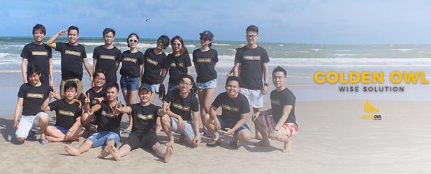 Golden Owl Consulting-big-image